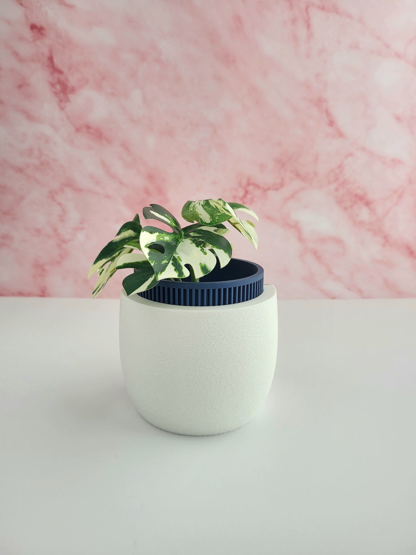 Japandi Style Planter with Drainage & Tray