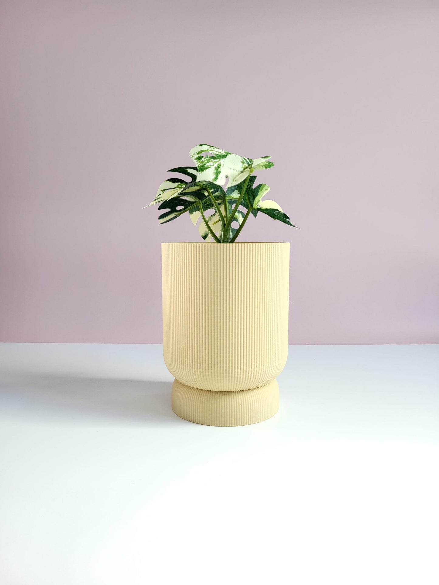 Modern Indoor Plant Pot, Cute Planter, Modern Minimalist Succulent Pot, Gift For Plant Lovers, Minimalist Planter with Drainage Holes and Tray