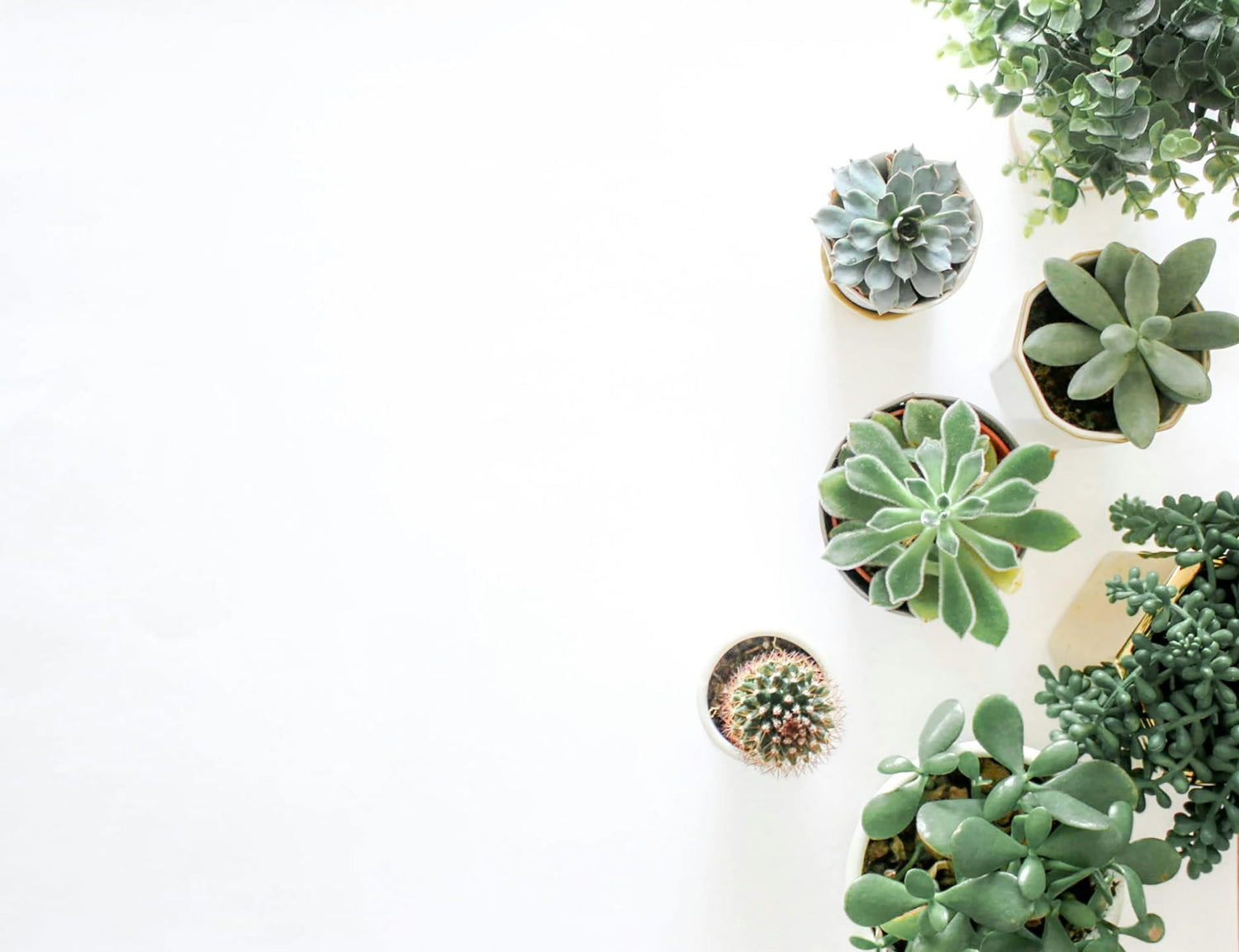 Planters & Vases