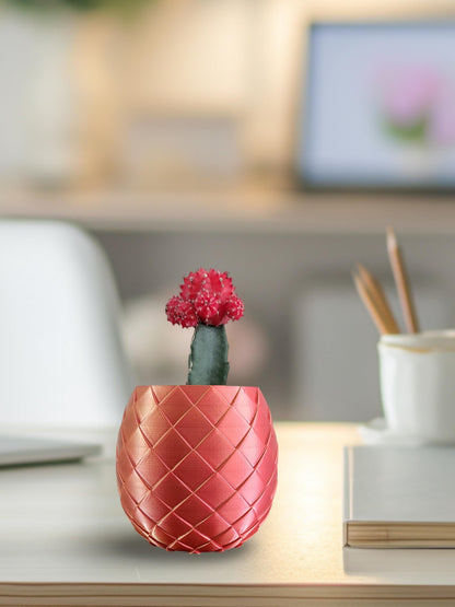  Indoor Plant Pot for House Plants, Small to Large Plant Pot, 2 3 4 5 Inch, Lightweight, Gift For Plant Lovers, Gamers, Dragon Egg's Planter