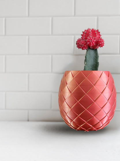 Indoor Plant Pot for House Plants, Small to Large Plant Pot, 2 3 4 5 Inch, Lightweight, Gift For Plant Lovers, Gamers, Dragon Egg's Planter